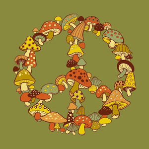 Meet your Posher, Bridget